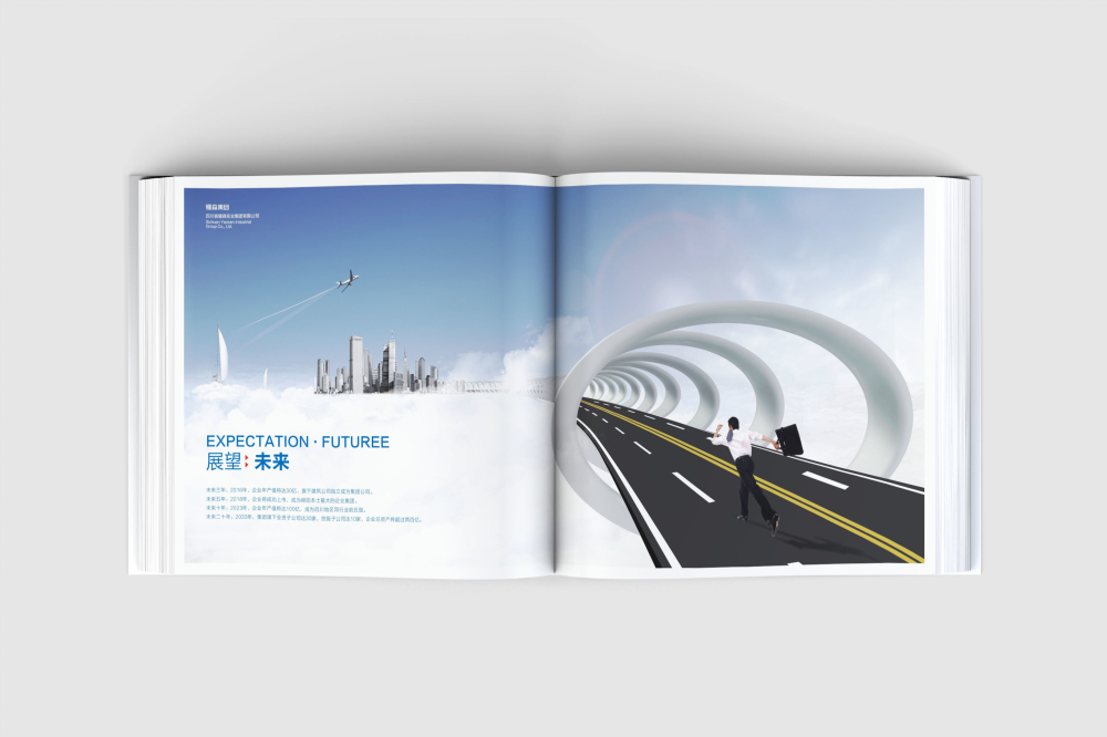 青川县画册设计